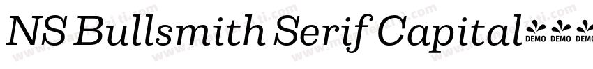 NS Bullsmith Serif Capital字体转换